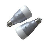 A pair of light bulbs