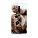 a cat with its paws on the back of a phone case