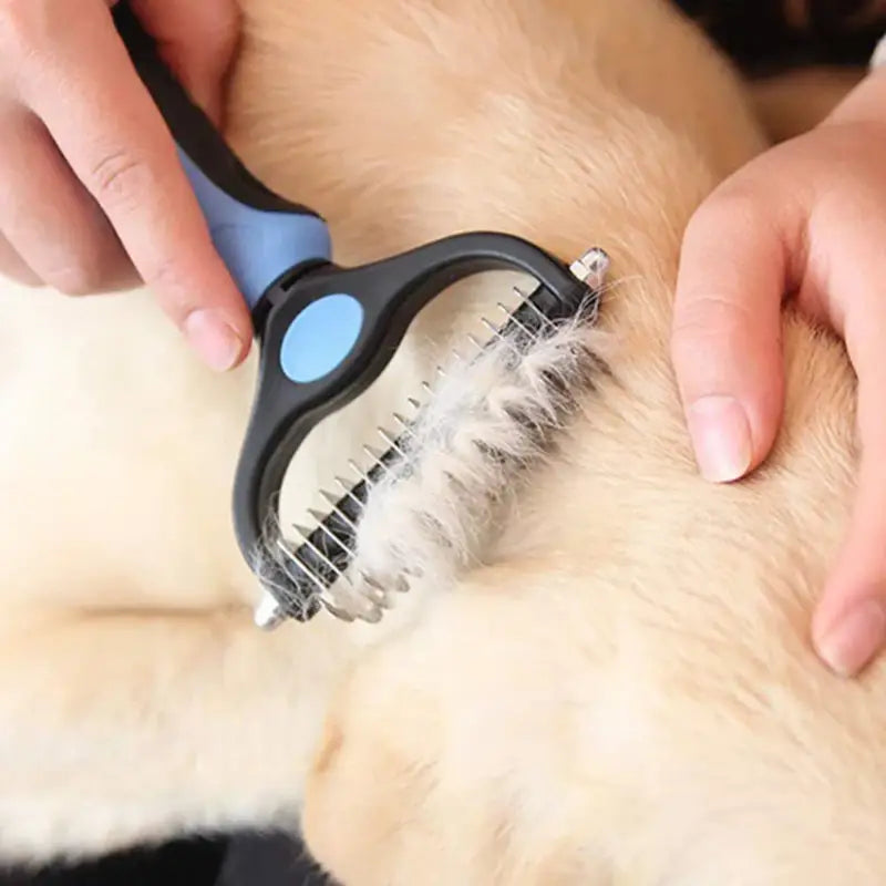 a person brushing a dog’s hair with a brush