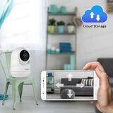 A person holding a smart phone and a cloud storage camera