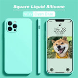 a phone with a dog on it
