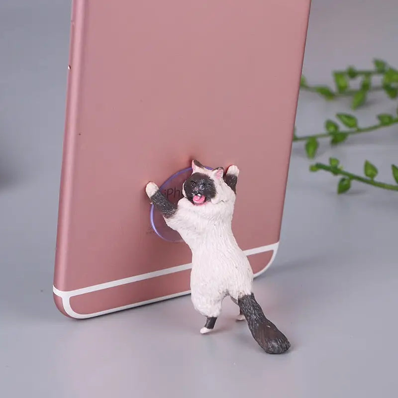 a cat with a phone holder on it’s back