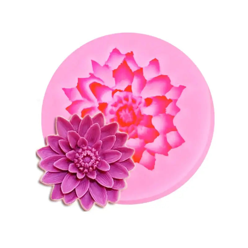 a pink flower on a white background