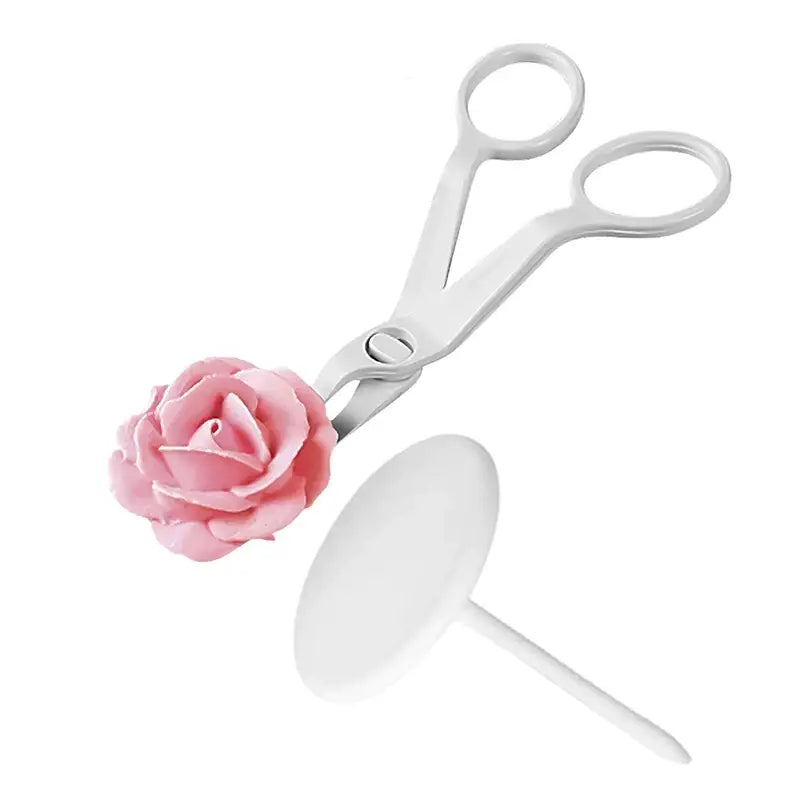 a pink rose on a white background