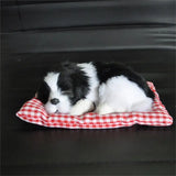 a small black and white dog sleeping on a red and white checkered blanket