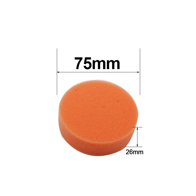a round orange sponge with a white background