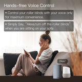 Smart home voice control advertisement.
