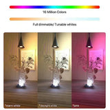 Color-changing smart light bulb.