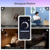 Smart lighting control app.