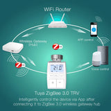 Smart radiator thermostat valve.
