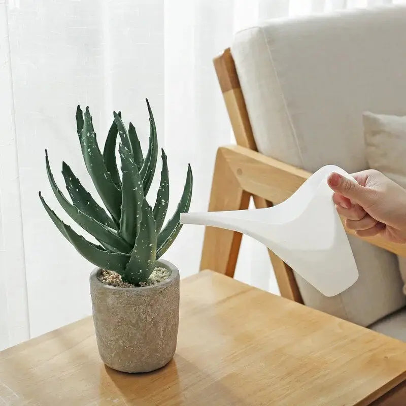 a person is pouring water on a plant