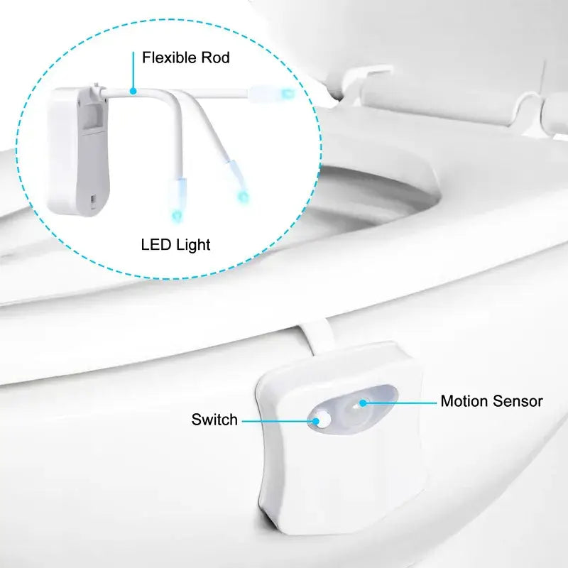 The toilet seat with the lid open and the lid closed