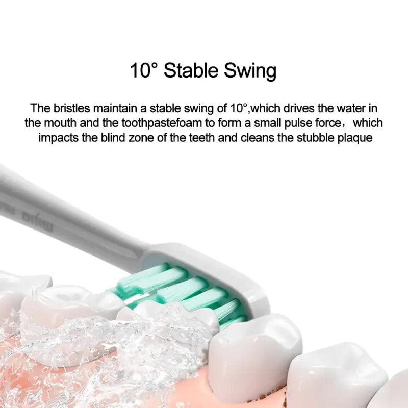 a toothbrush with toothbrushs and toothbrushs