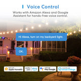 voice control for alexa voice voice assistant