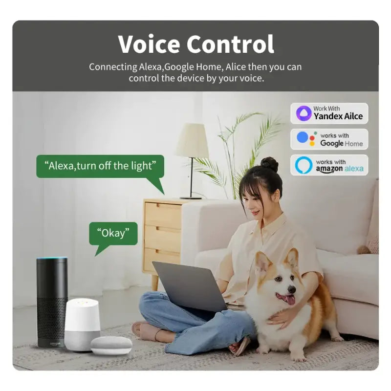 Voice control for pets