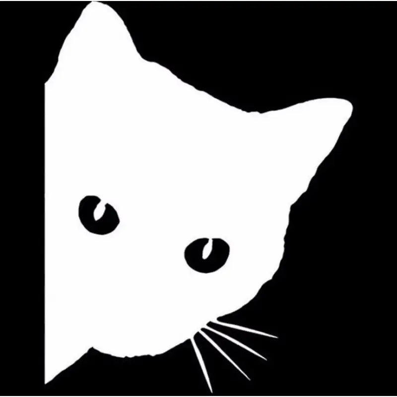 a white cat with a black background