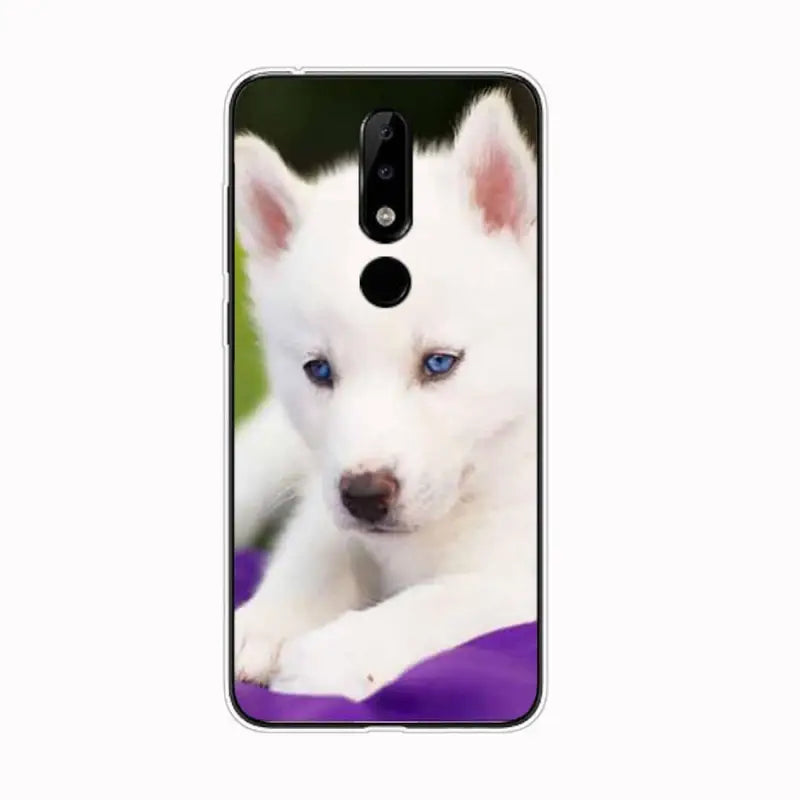 a white puppy dog with blue eyes on a purple background