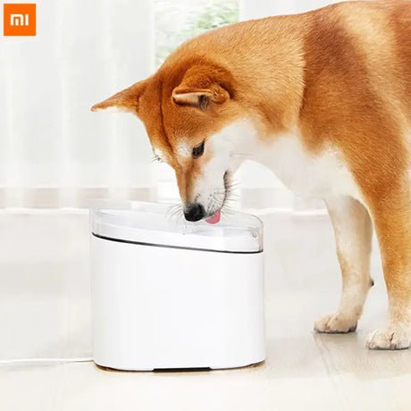 a dog drinking water from a water fountain