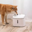 a dog drinking water out of a water fountain