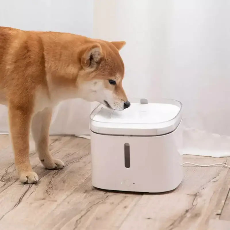 a dog drinking water out of a water fountain