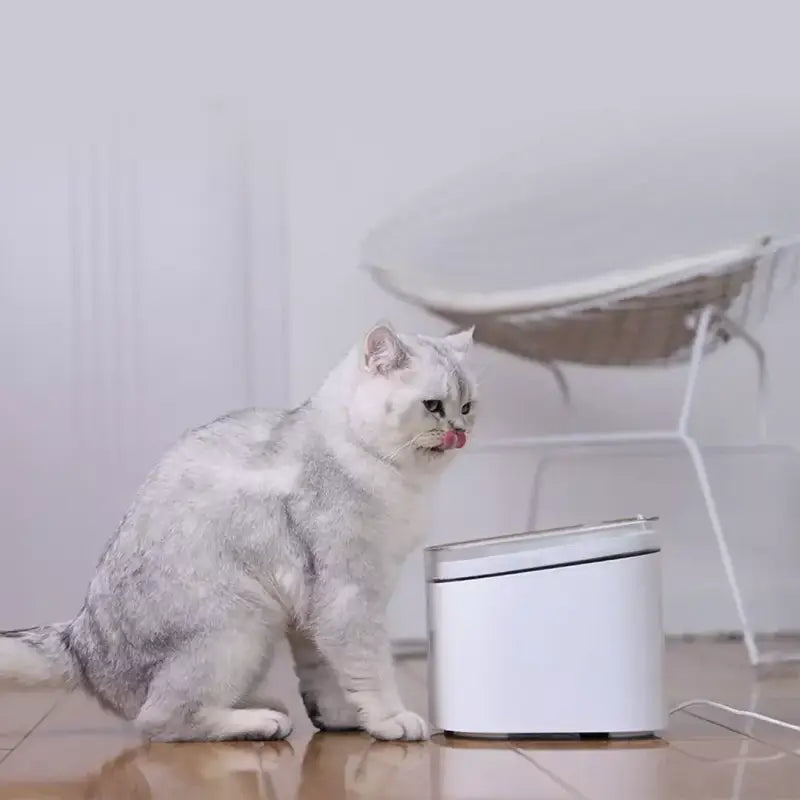 a cat sitting on the floor next to a humider